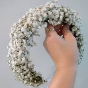 קשת גיפסנית חי/מלאכותי