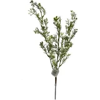 ענף שעווה ג 75