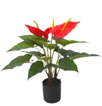 אנטוריום מלאכותי