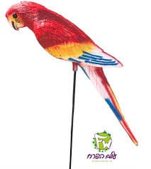 סטיק תוכי גדול על מוט