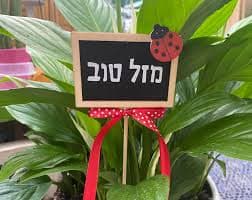 סטיקים מכל הלב. מזל טוב וכו מעץ עם חיפושית