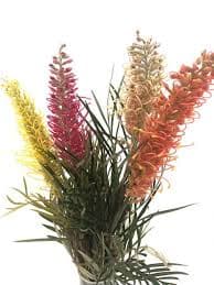 ענף גרבילאה פורחת