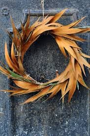 ענף גרבילאה זהב