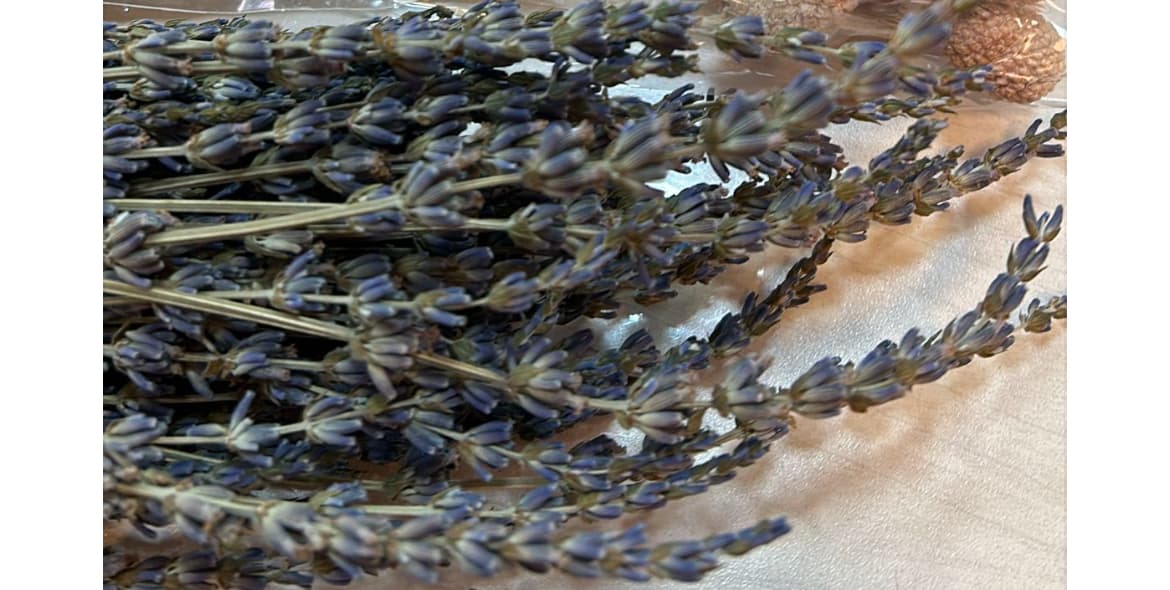 לבנדר מיובש