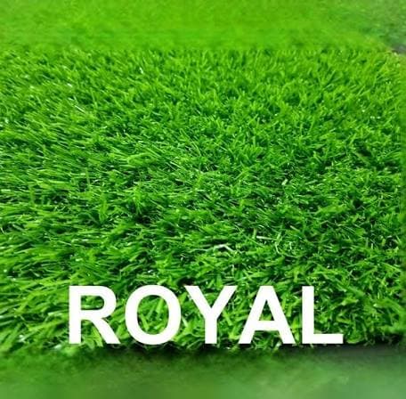 דשא רויאל