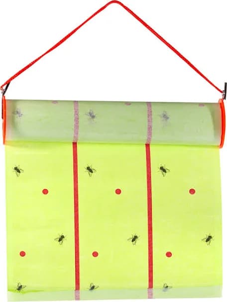 מלכודת זבובים גליל