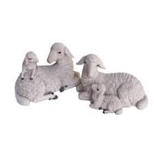 כבשים יושבות