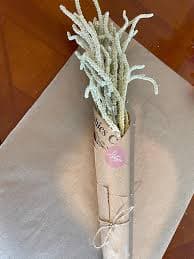 ענף כיסופית