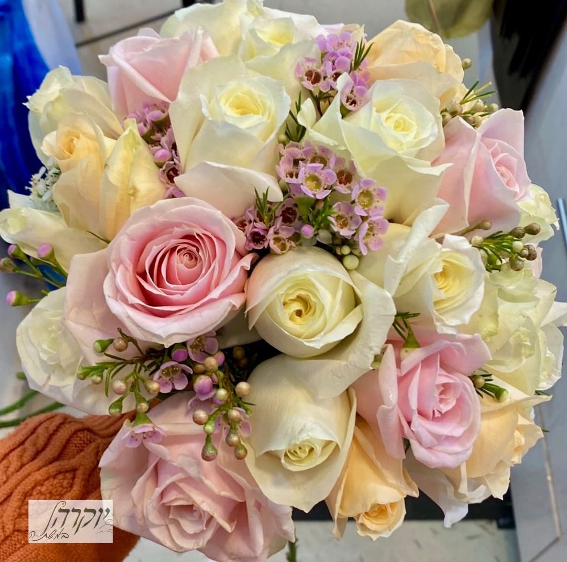 רגוע וחולמני