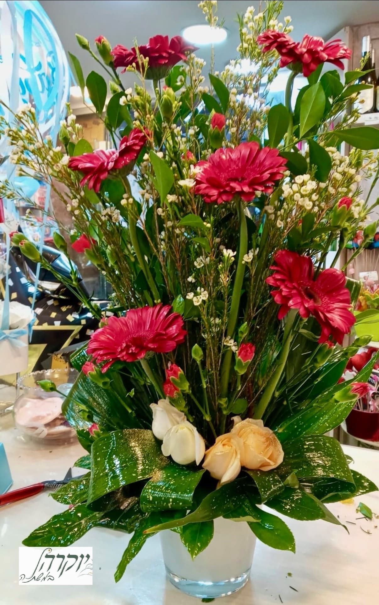 קלאסיקה בפריחה