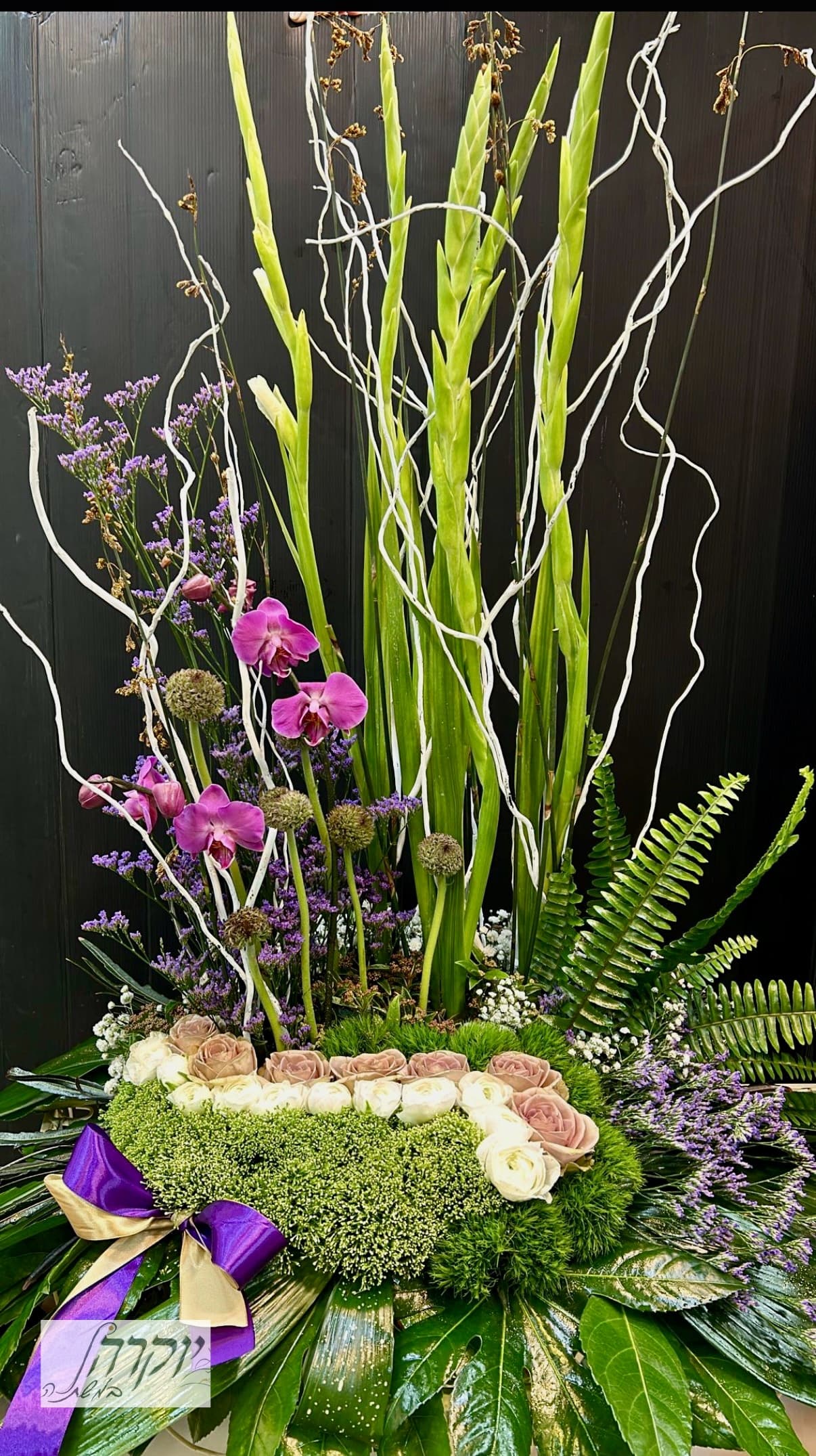 אצילות עדינה