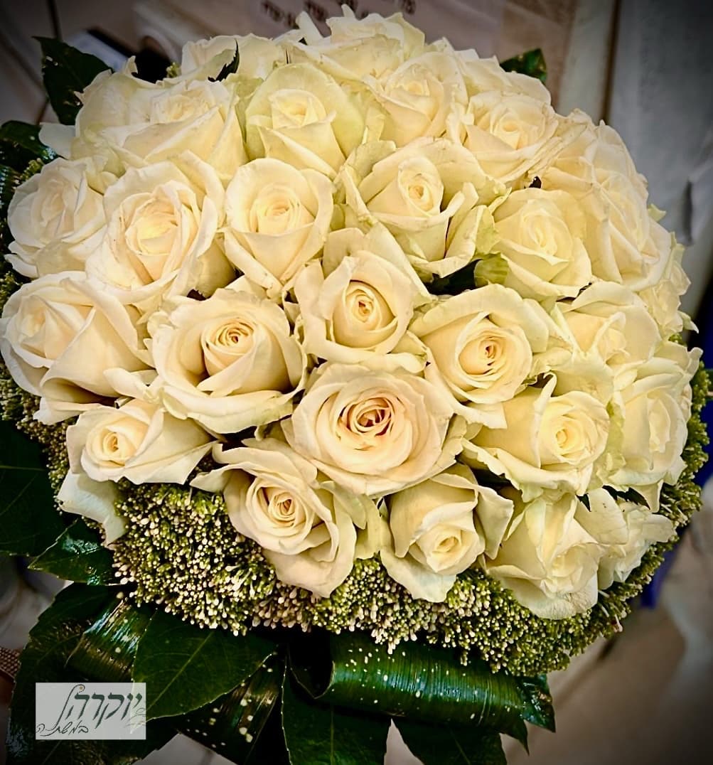 לבן ומלכותי