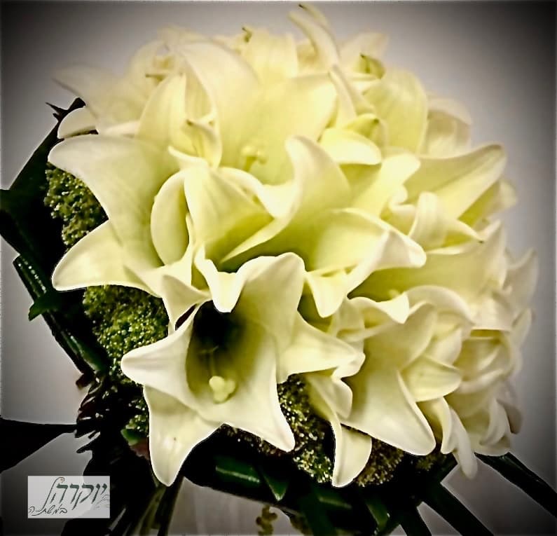 זר עגול שושן צחור