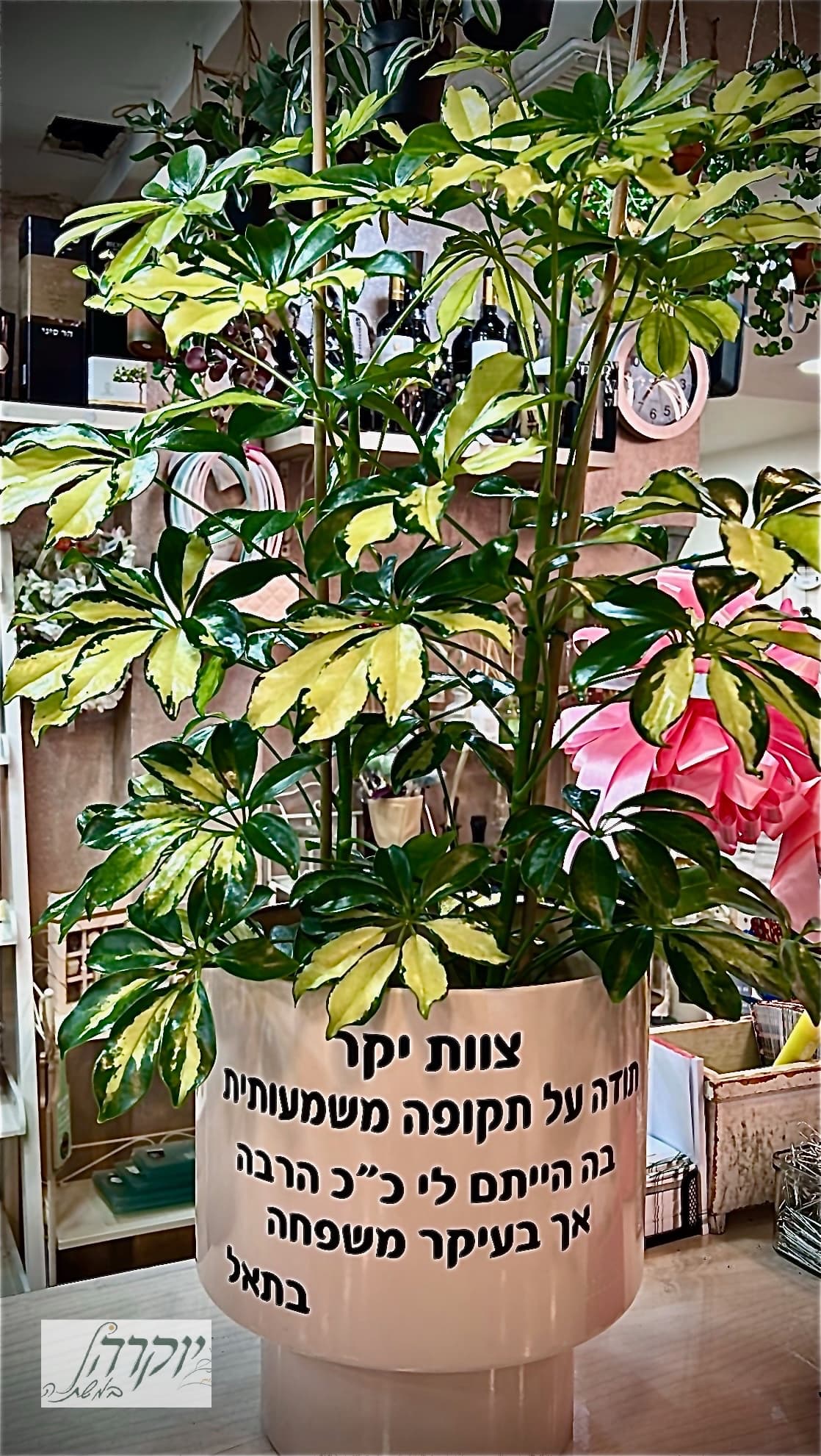 מתנה עם הקדשה אישית