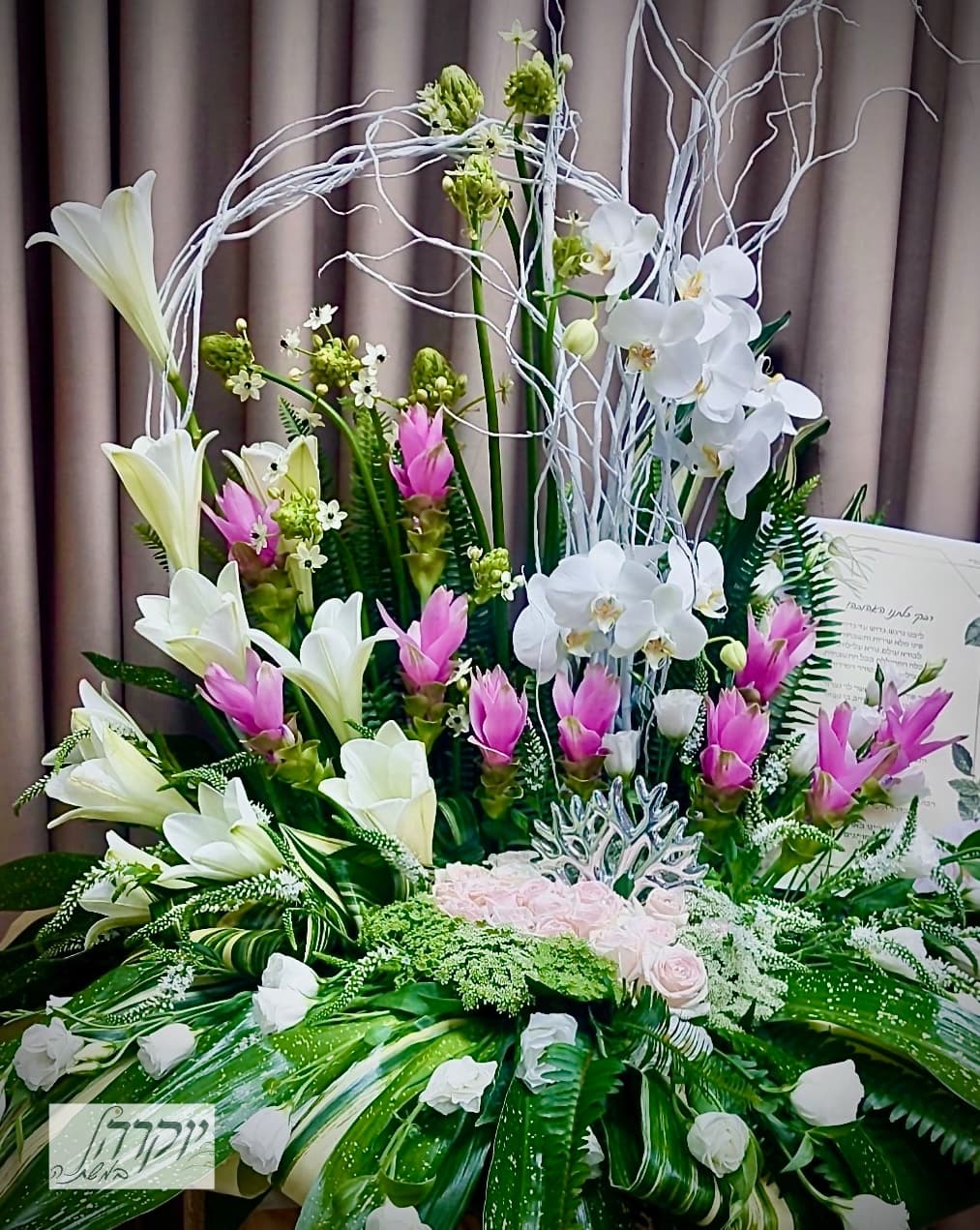 שוברים צלחת