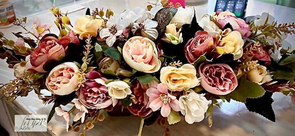 אובלי מלכותי