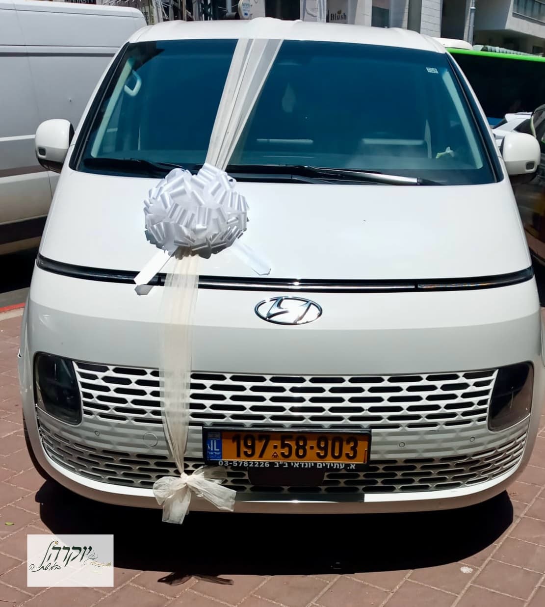 קישוט רכב דגם 11 (גדול)