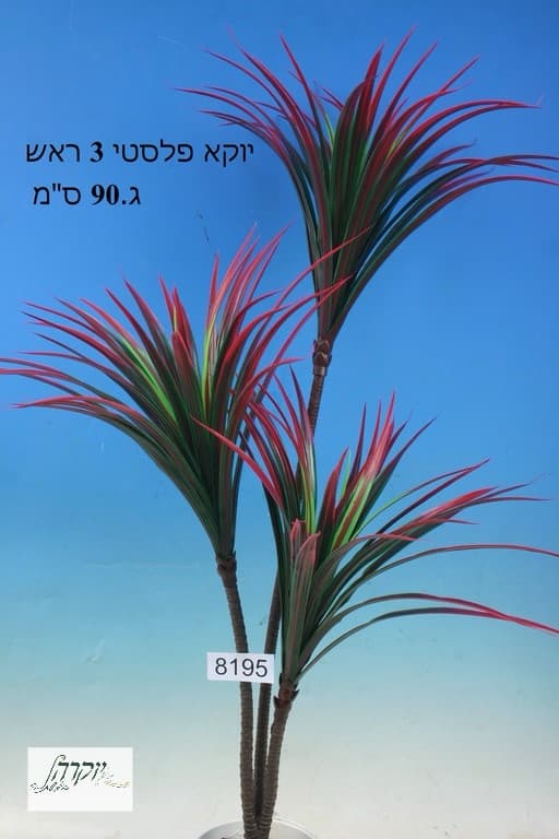 יוקא ( יוקה)  3 ענפים אדום