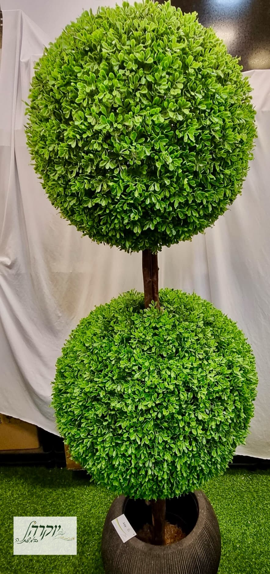 זוג כדורי הדס