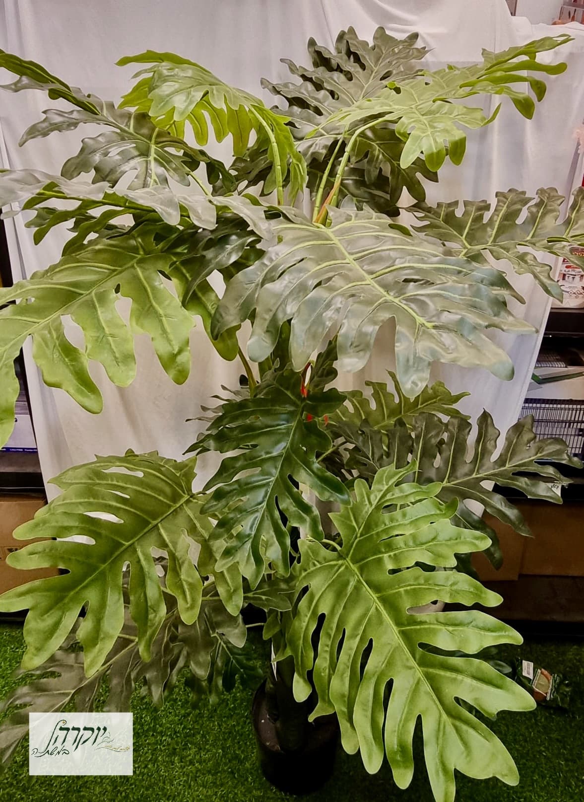 ביפי גדול מלאכותי