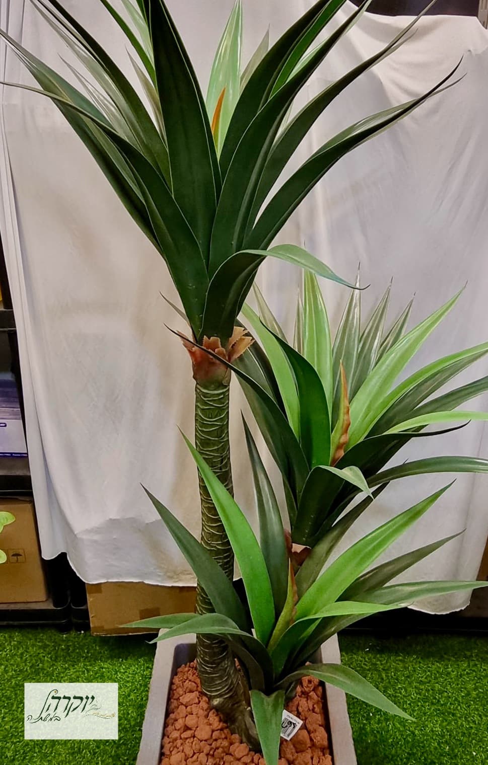 יוקה גדולה מלאכותי