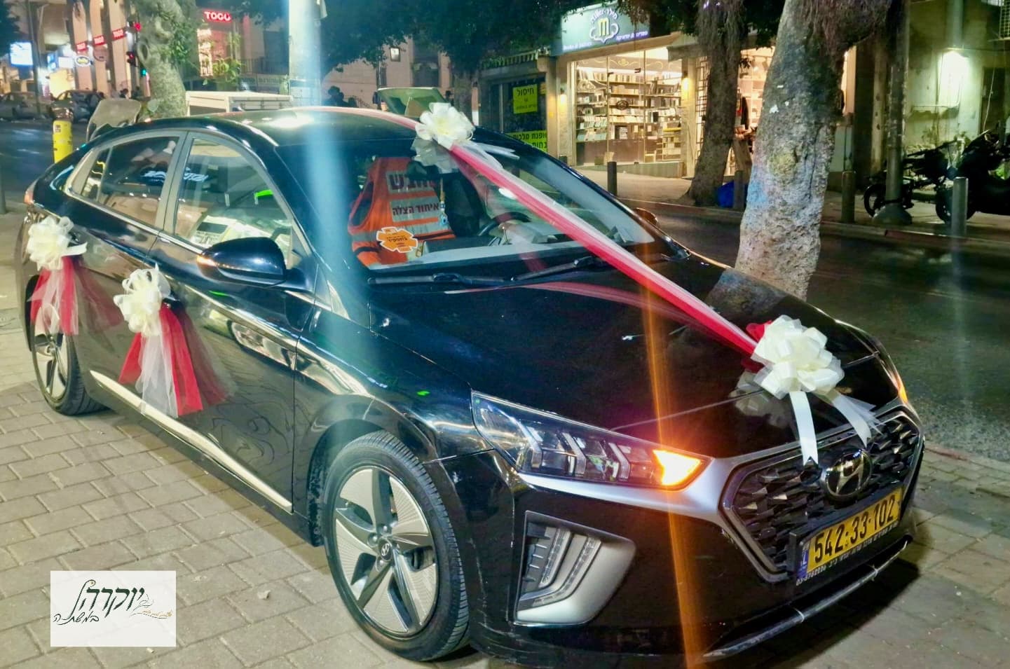 קישוט רכב דגם 15